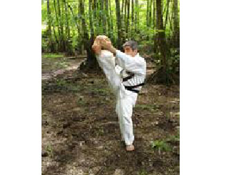 آموزش عمومی و خصوصی کاملترین سبک کاراته کنترلی