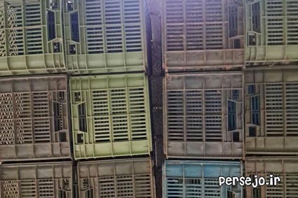 فروش سبد ۲۰ کیلویی پرتقال کاملا سالم